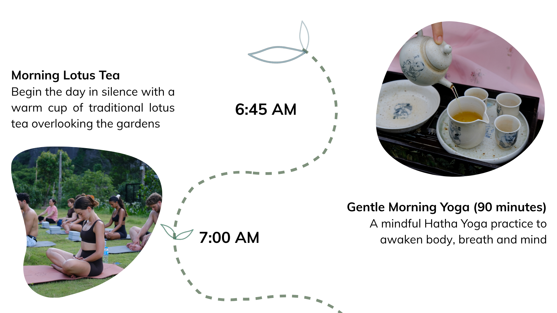 🌸 645 am morning lotus tea • begin the day in silence with a warm cup of traditional lotus tea overlooking the gardens. 🧘 700 am gentle morning yoga (90 minutes) • a mindful hatha yoga practice